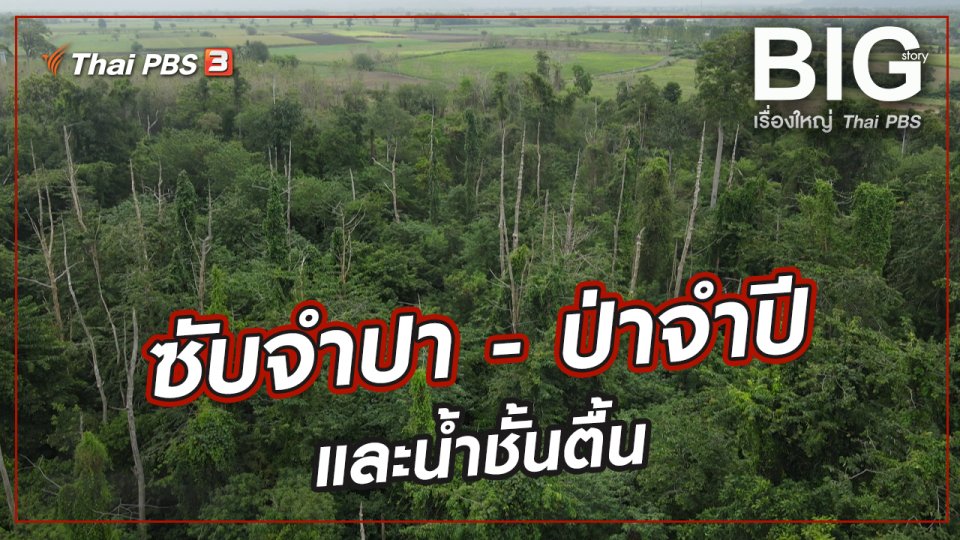 ซับจำปา - ป่าจำปี และน้ำชั้นตื้น