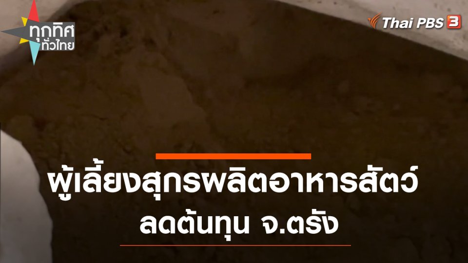 ผู้เลี้ยงสุกรผลิตอาหารสัตว์ลดต้นทุน จ.ตรัง