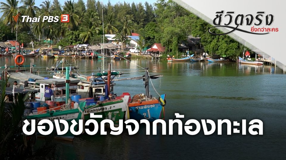 ของขวัญจากท้องทะเล