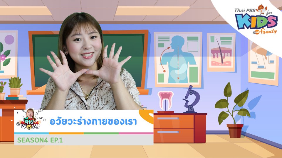 คำศัพท์เกี่ยวกับ "อวัยวะร่างกายของเรา"