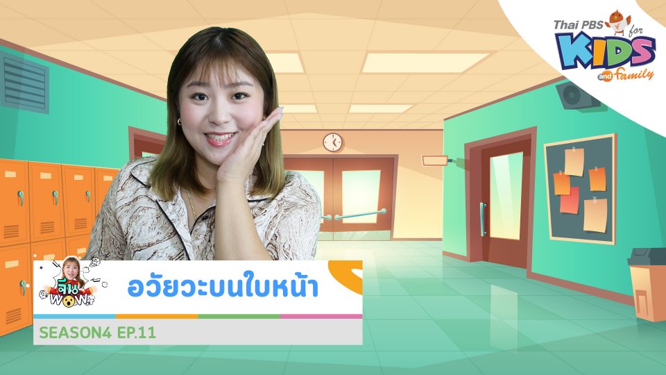 คำศัพท์เกี่ยวกับ "อวัยวะบนใบหน้า"