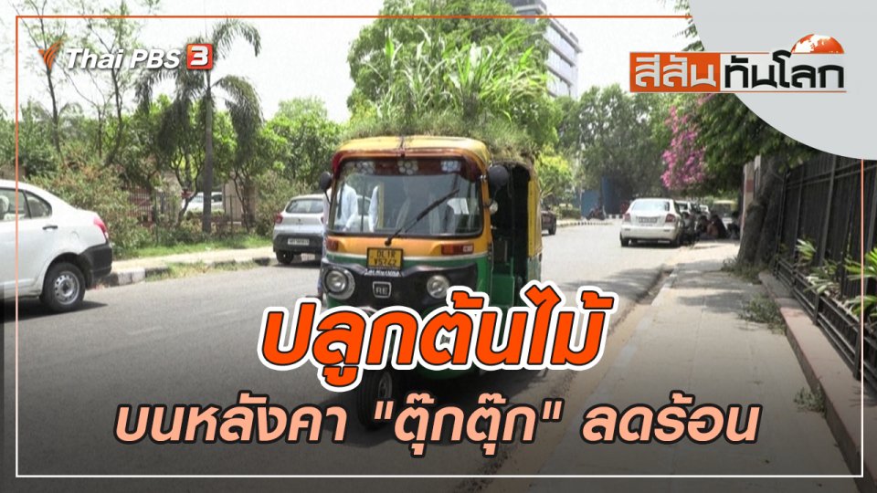 ปลูกต้นไม้บนหลังคา "ตุ๊กตุ๊ก" ลดร้อน | สีสันทันโลก | 7 พ.ค. 65