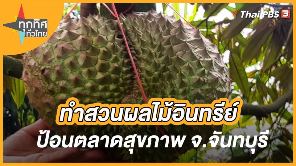 ทำสวนผลไม้อินทรีย์ป้อนตลาดสุขภาพ จ.จันทบุรี