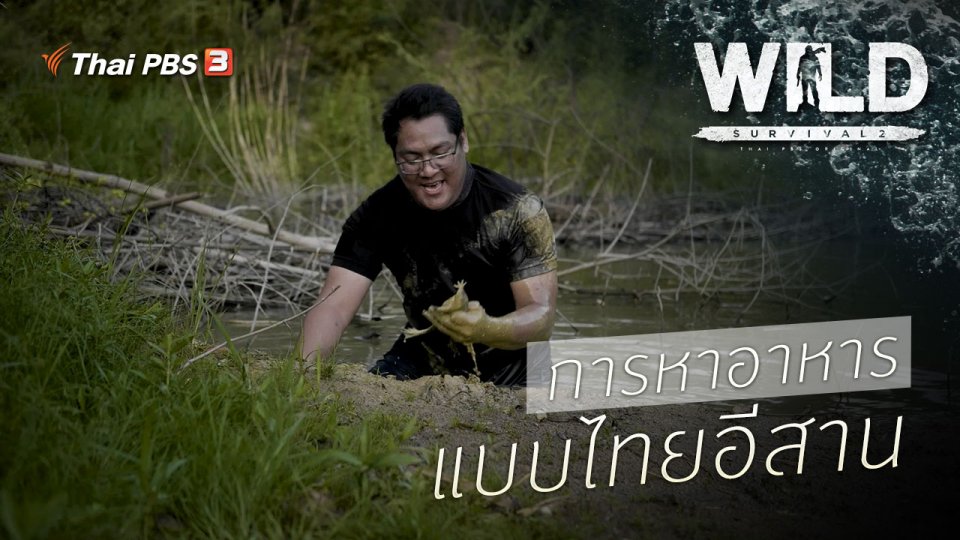 การหาอาหารแบบไทยอีสาน
