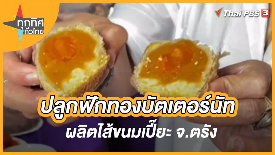 ปลูกฟักทองบัตเตอร์นัทผลิตไส้ขนมเปี๊ยะ จ.ตรัง