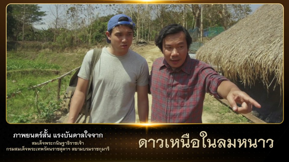 ดาวเหนือในลมหนาว