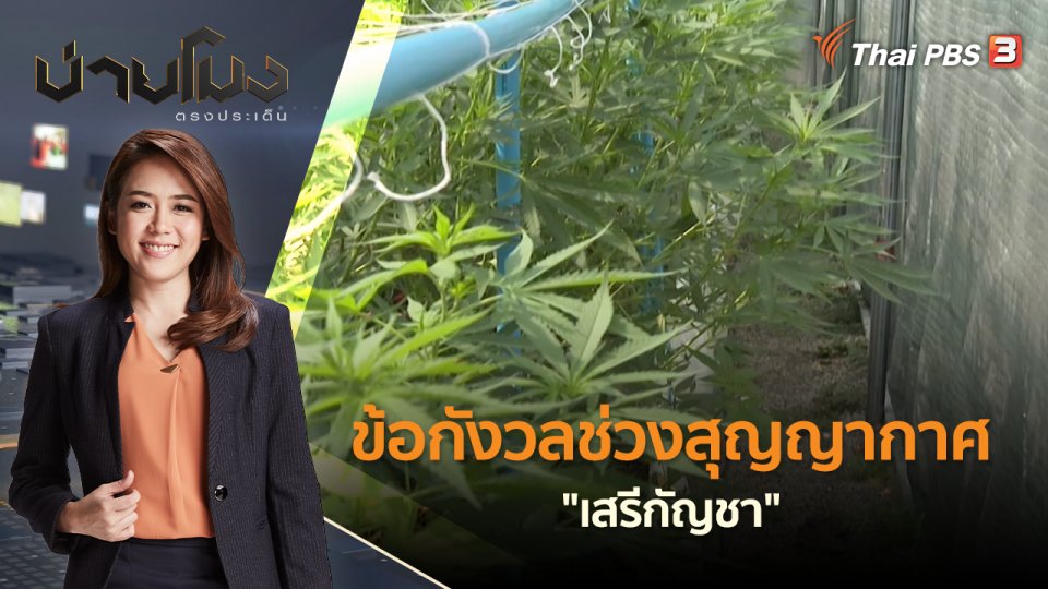 ข้อกังวลช่วงสุญญากาศ "เสรีกัญชา" | บ่ายโมง ตรงประเด็น | 13 มิ.ย. 65