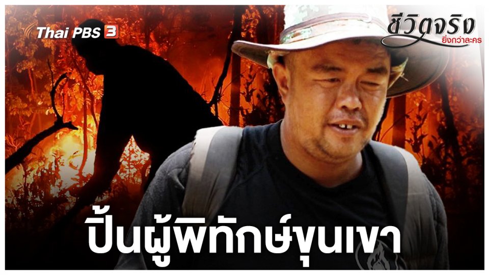 ปิ้นผู้พิทักษ์ขุนเขา