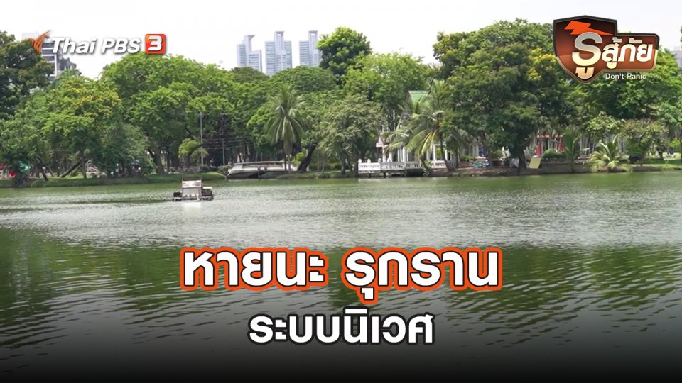 หายนะ รุกราน ระบบนิเวศ