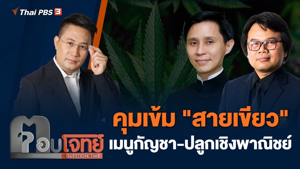 คุมเข้ม "สายเขียว" เมนูกัญชา - ปลูกเชิงพาณิชย์
