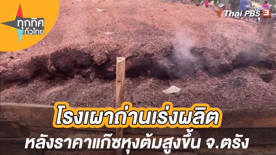โรงเผาถ่านเร่งผลิตหลังราคาแก๊ซหุงต้มสูงขึ้น จ.ตรัง
