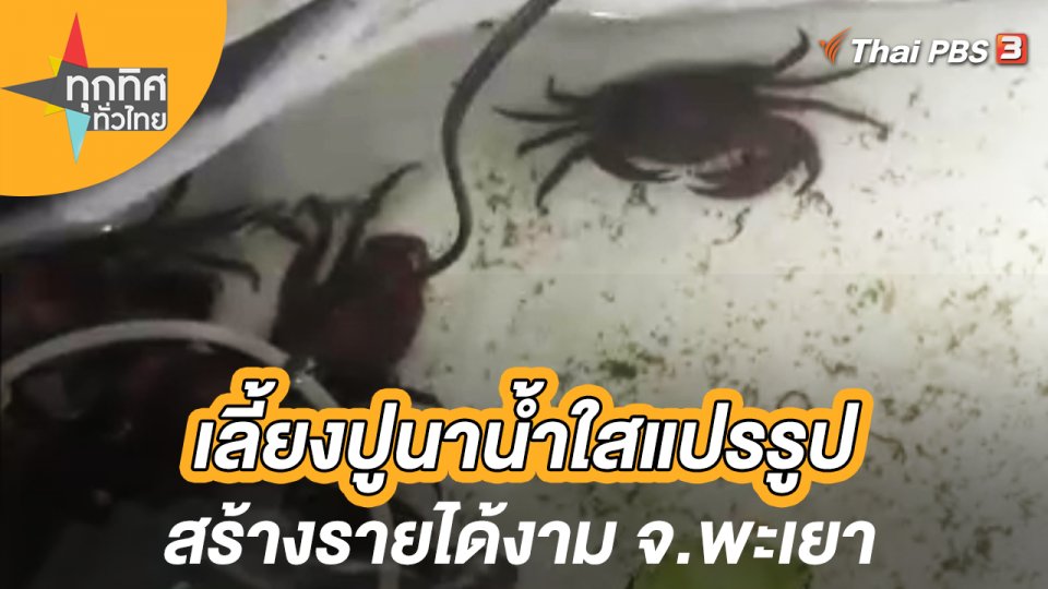 เลี้ยงปูนาน้ำใสแปรรูปสร้างรายได้งาม จ.พะเยา