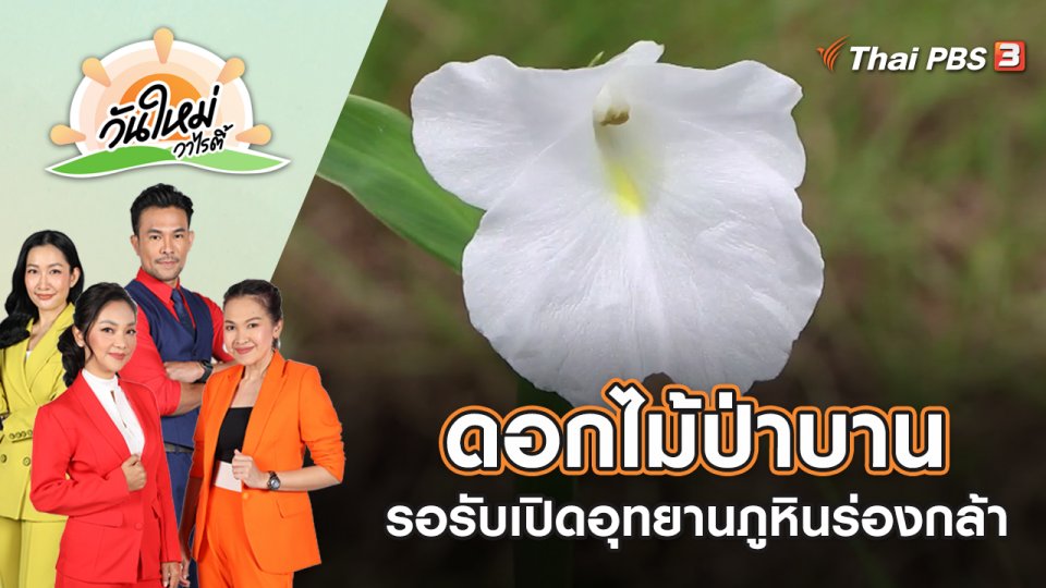 ดอกไม้ป่าบานรอรับเปิดอุทยานภูหินร่องกล้า | วันใหม่วาไรตี้ | 1 ก.ค. 65