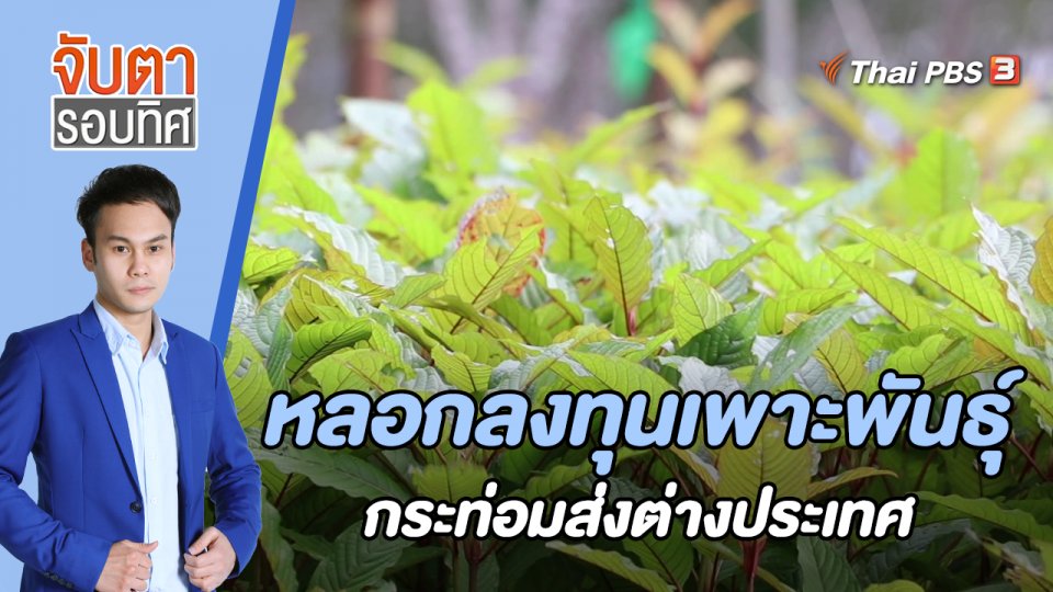 หลอกลงทุนเพาะพันธุ์กระท่อมส่งต่างประเทศ | 21 ก.ย. 65