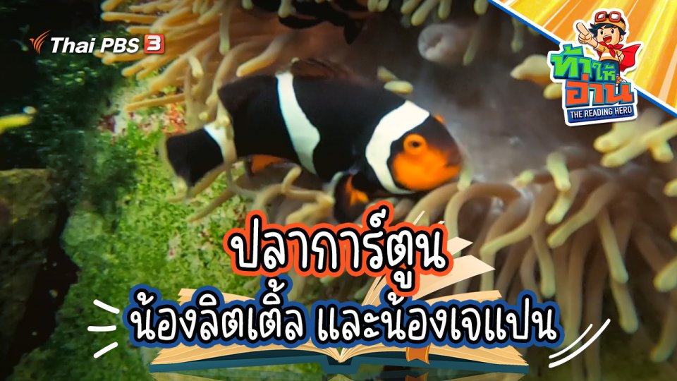 ปลาการ์ตูน น้องลิตเติ้ล และน้องเจแปน