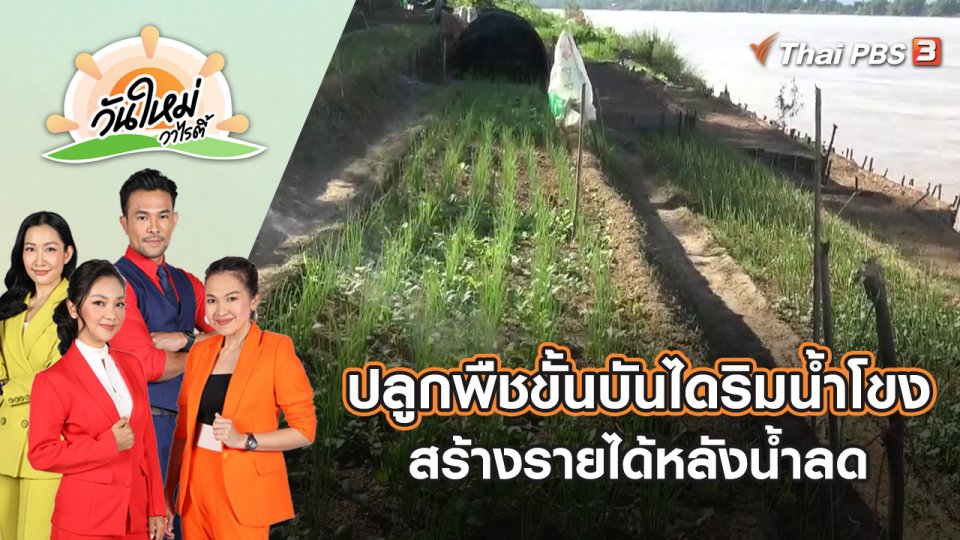 ชาวบ้านปลูกพืชขั้นบันไดริมน้ำโขง สร้างรายได้หลังน้ำลด จ.บึงกาฬ | วันใหม่วาไรตี้ | 17 ต.ค. 65