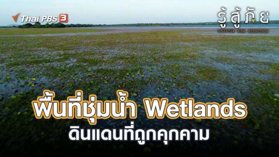 พื้นที่ชุ่มน้ำ Wetlands ดินแดนที่ถูกคุกคาม