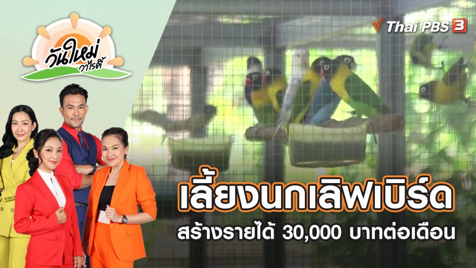 เลี้ยงนกเลิฟเบิร์ด สร้างรายได้ 30,000 บาทต่อเดือน | วันใหม่วาไรตี้ | 31 ต.ค. 65