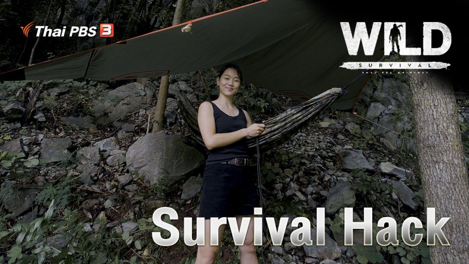 Survival Hack