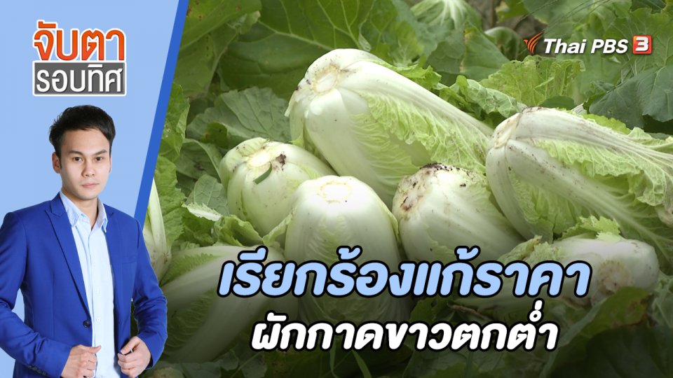 เรียกร้องแก้ราคาผักกาดขาวตกต่ำ | 29 พ.ย. 65