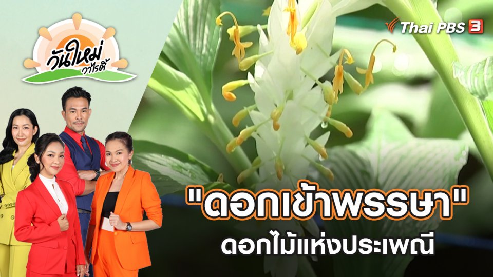 ดอกไม้แห่งประเพณี "ดอกเข้าพรรษา" | วันใหม่วาไรตี้ | 14 ก.ค. 65