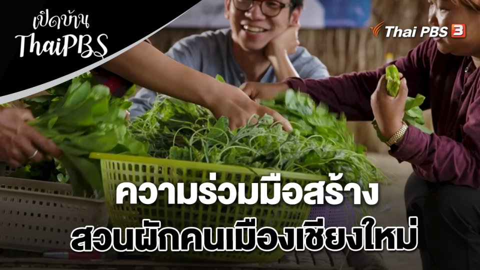 ความร่วมมือสร้างสวนผักคนเมืองเชียงใหม่