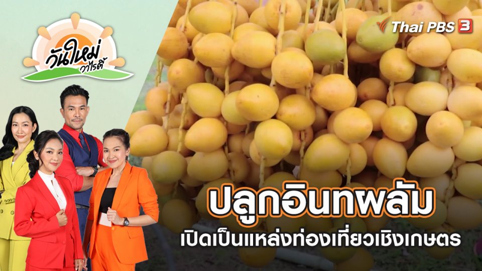 ชาวสวนมะม่วงหันมาปลูกอินทผลัม เปิดเป็นแหล่งท่องเที่ยวเชิงเกษตร | วันใหม่วาไรตี้ | 19 ก.ค. 65