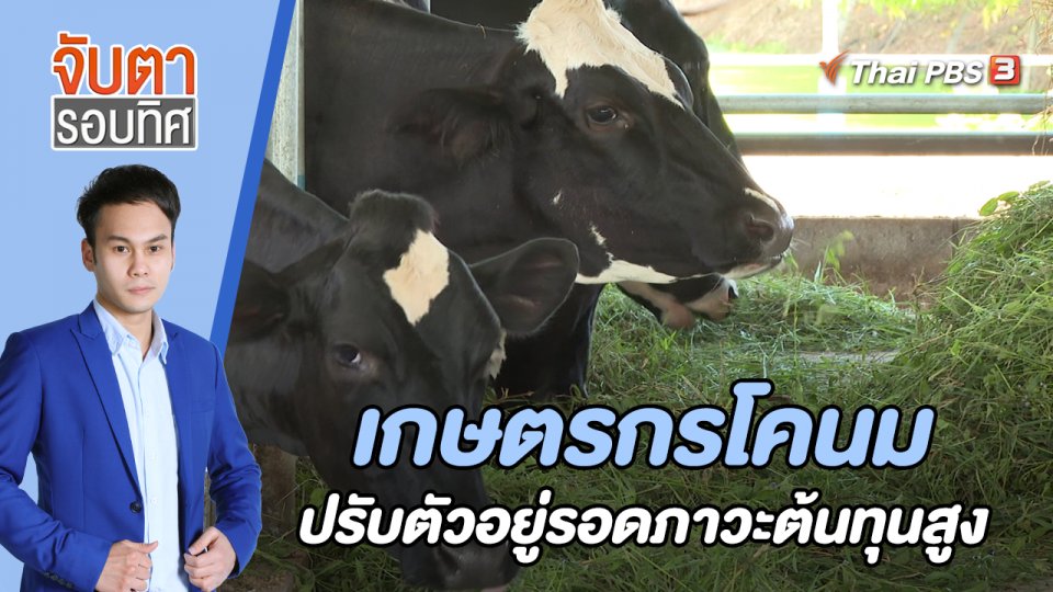 เกษตรกรโคนม ปรับตัวอยู่รอดภาวะต้นทุนสูง | จับตารอบทิศ | 2 ส.ค. 65