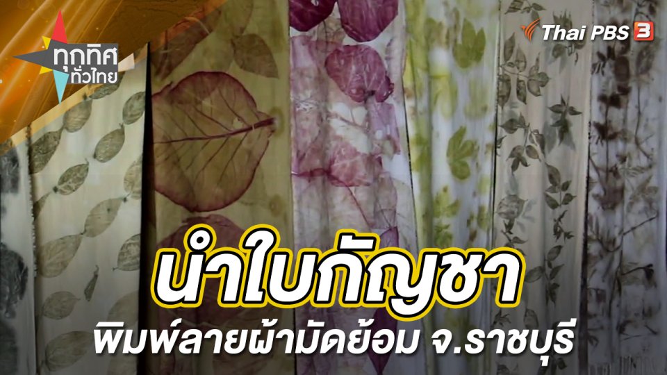 นำใบกัญชาพิมพ์ลายผ้ามัดย้อม จ.ราชบุรี