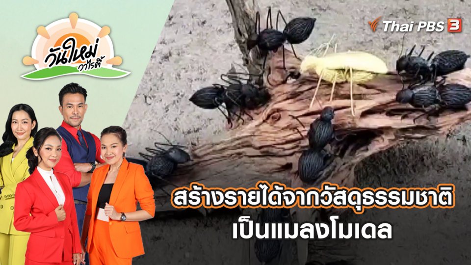สร้างรายได้เสริมจากวัสดุธรรมชาติเป็นแมลงโมเดล | วันใหม่วาไรตี้ | 16 ส.ค. 65