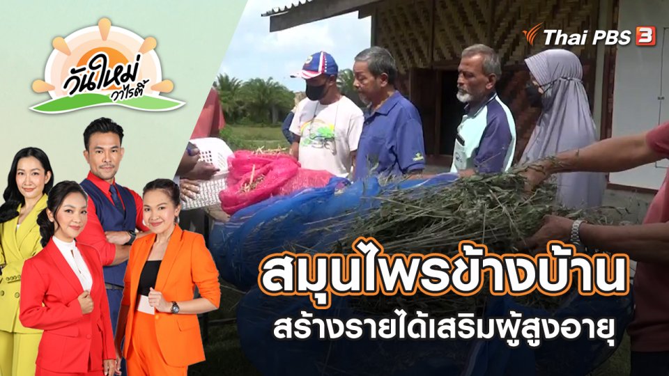 สมุนไพรข้างบ้าน สร้างรายได้เสริมผู้สูงอายุ | วันใหม่วาไรตี้ | 24 ส.ค. 65