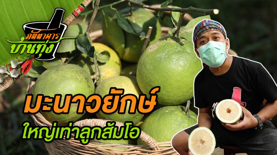 มะนาวยักษ์