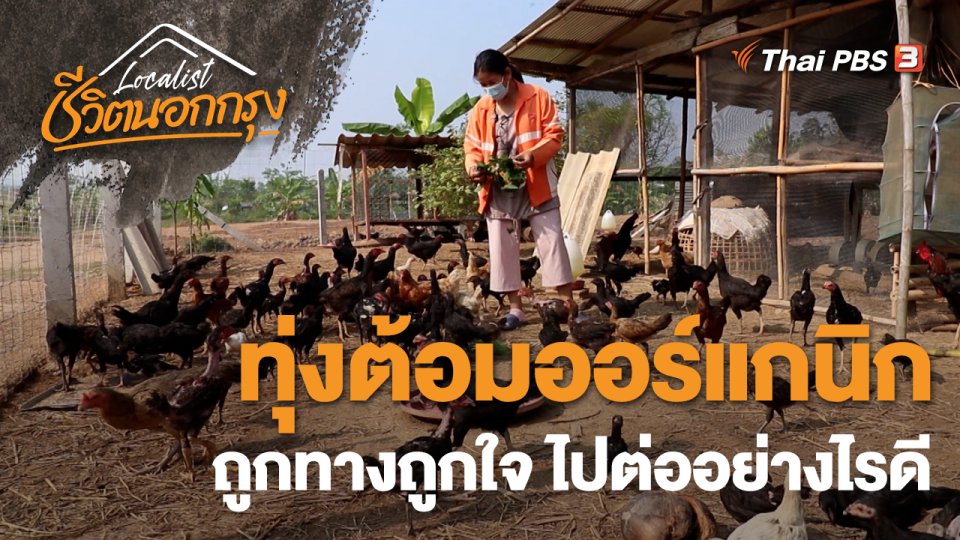 ทุ่งต้อมออร์แกนิก ถูกทางถูกใจ ไปต่ออย่างไรดี