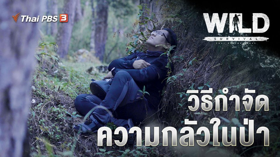 วิธีกำจัดความกลัวในป่า