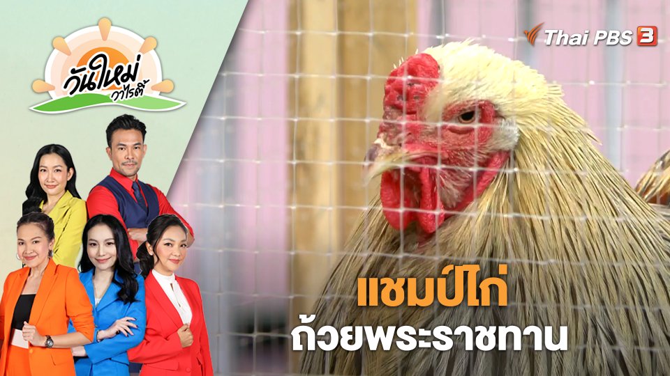 แชมป์ไก่ ถ้วยพระราชทาน | วันใหม่วาไรตี้ | 13 มี.ค. 66