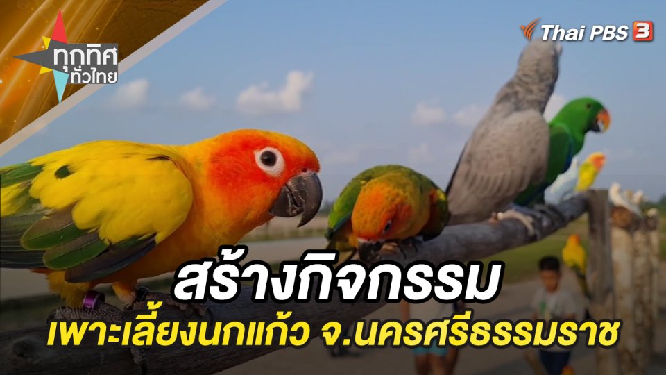 สร้างกิจกรรมเพาะเลี้ยงนกแก้ว จ.นครศรีธรรมราช