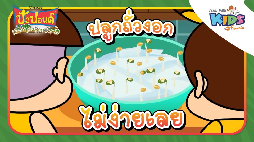 ปลูกถั่วงอกไม่ง่ายเลย