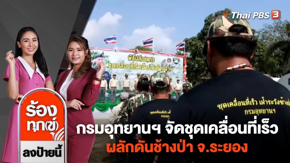 กรมอุทยานฯ จัดชุดเคลื่อนที่เร็ว ผลักดันช้างป่า จ.ระยอง