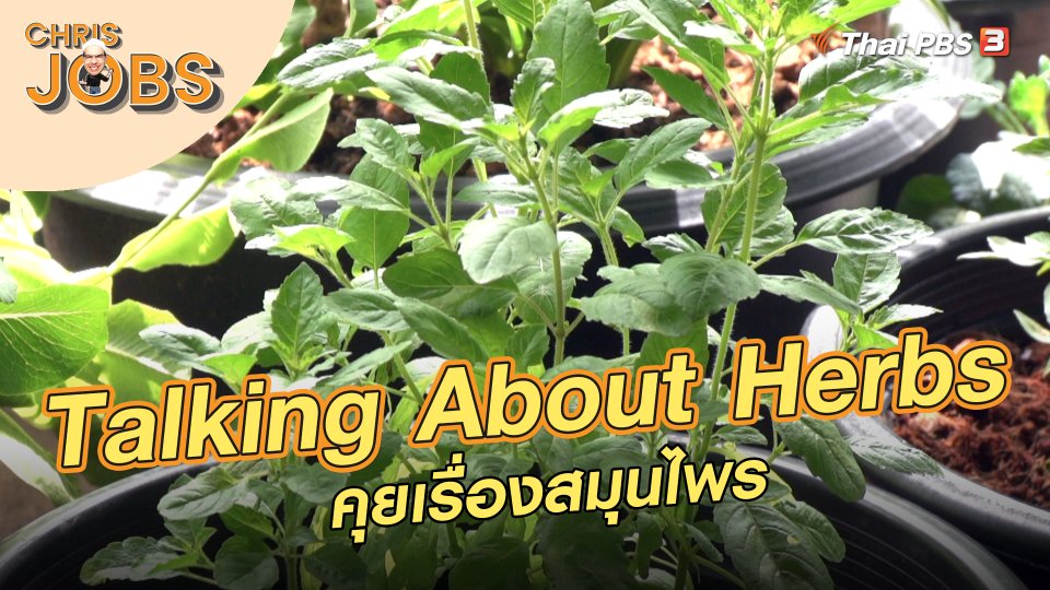 Talking About Herbs