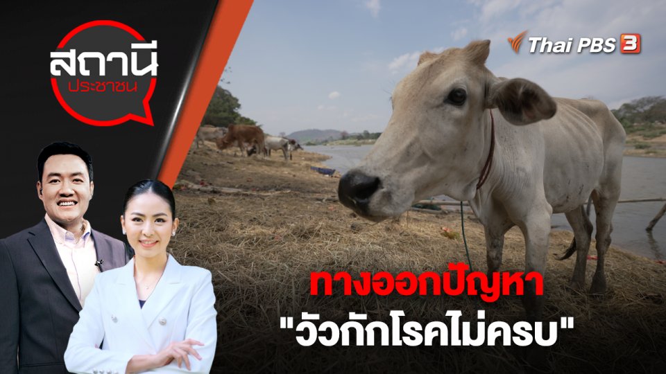 ทางออกปัญหา "วัวกักโรคไม่ครบ" | สถานีประชาชน | 19 เม.ย. 66