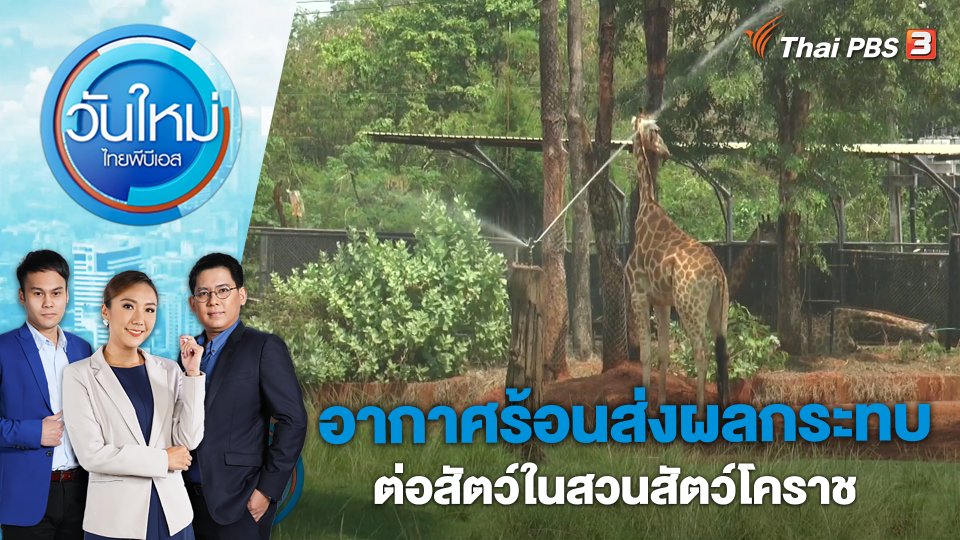 อากาศร้อนส่งผลกระทบต่อสัตว์ในสวนสัตว์โคราช | วันใหม่ ไทยพีบีเอส | 24 เม.ย. 66