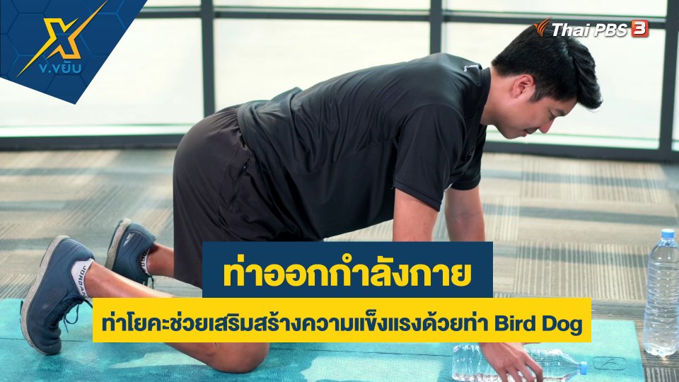 ท่าโยคะช่วยเสริมสร้างความแข็งแรงด้วยท่า Bird Dog