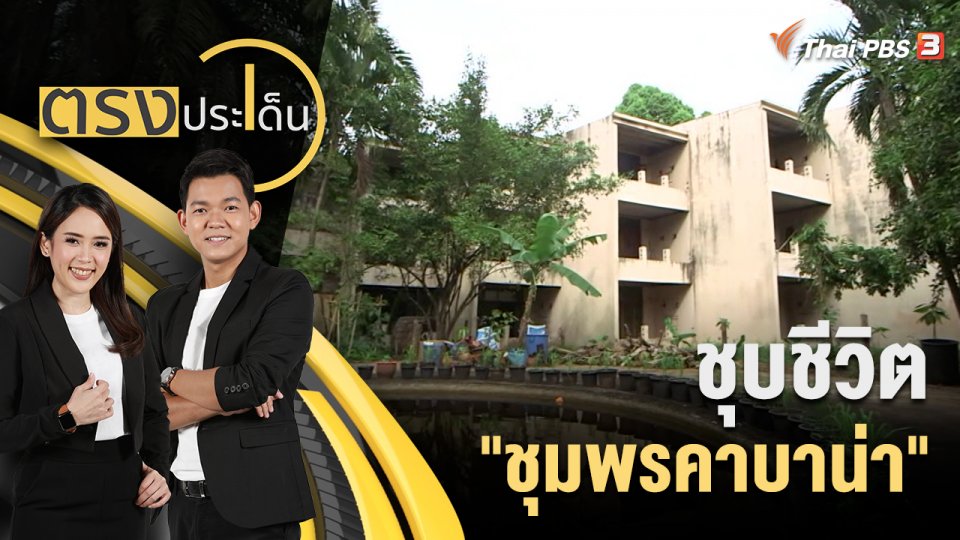 ชุบชีวิต "ชุมพรคาบาน่า"