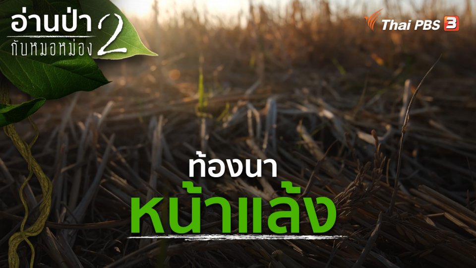 ท้องนาหน้าแล้ง