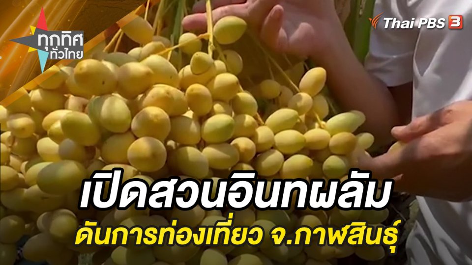 เปิดสวนอินทผลัมดันการท่องเที่ยว จ.กาฬสินธุ์