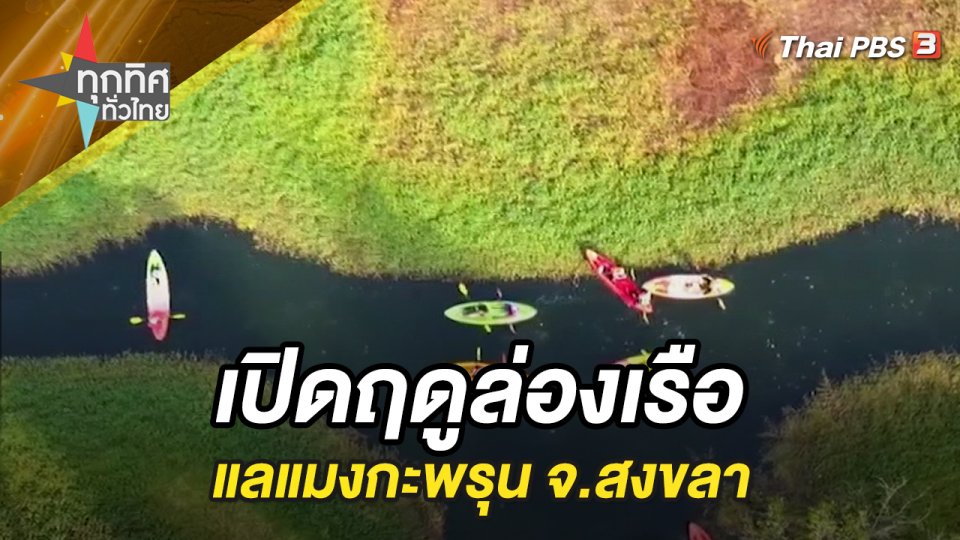 เปิดฤดูล่องเรือแลแมงกะพรุน จ.สงขลา