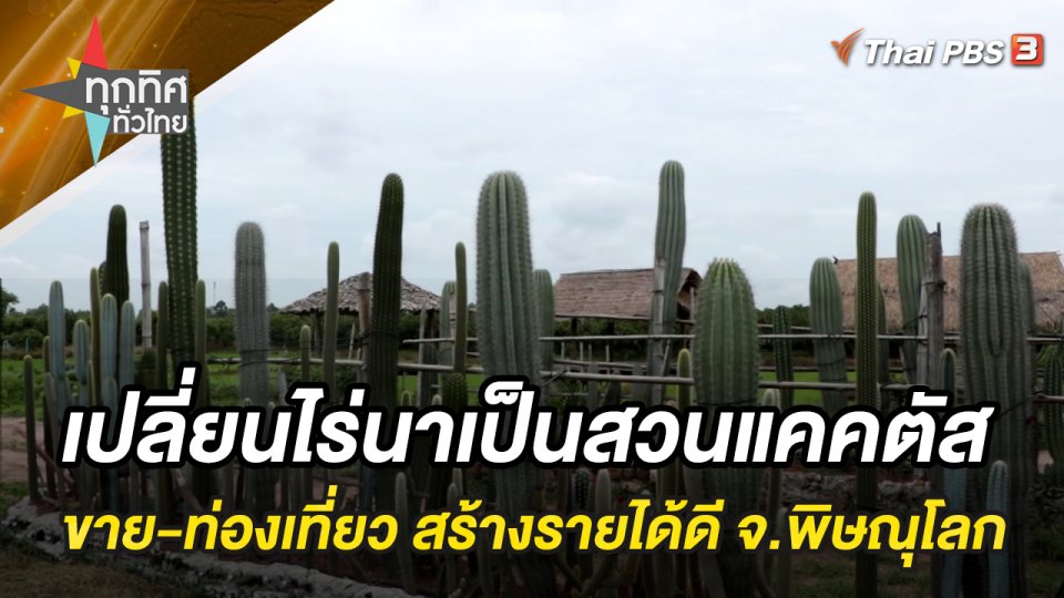 เปลี่ยนไร่นาเป็นสวนแคคตัส ขาย-ท่องเที่ยว สร้างรายได้ดี จ.พิษณุโลก