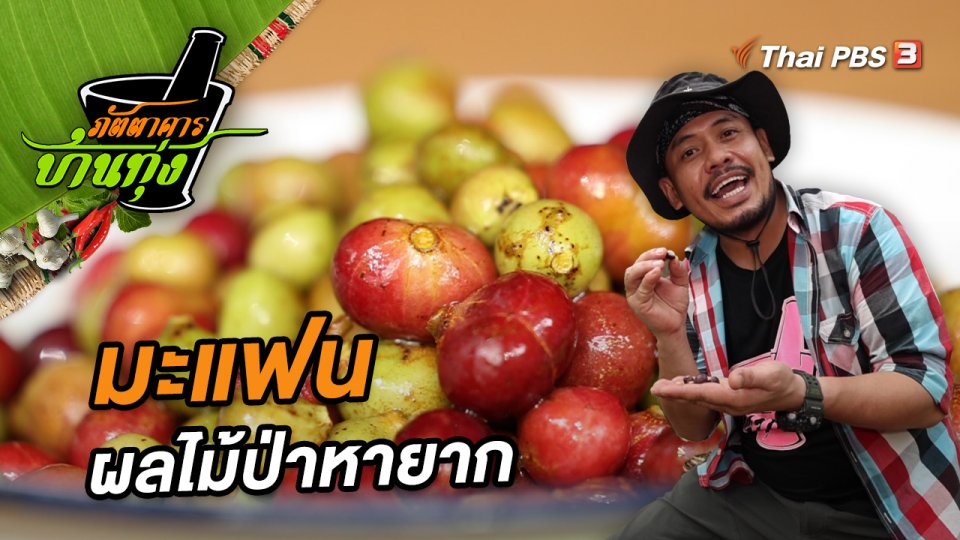 มะแฟน