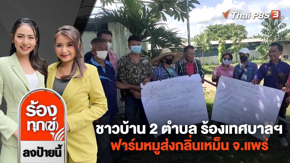 ชาวบ้าน 2 ตำบล ร้องเทศบาลฯ ฟาร์มหมูส่งกลิ่นเหม็น จ.แพร่