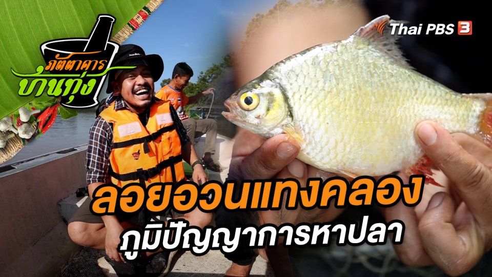 ลอยอวนแทงคลอง